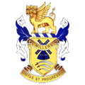 Team Logo