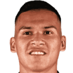 Marcelo Andrés Herrera Mansilla avatar