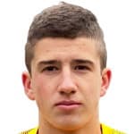 Boris Krstic avatar