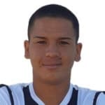 César Nahuel Araújo Vilches avatar