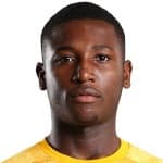 Chituru Odunze avatar