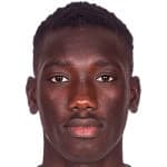 Cheikhou Omar Ndiaye avatar