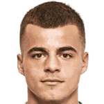 Dragoljub Savić avatar