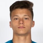 Dmitrii Vasilev avatar