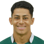 Vinicius Rodrigues Adelino dos Santos avatar