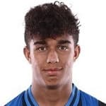 Dominic Vavassori avatar