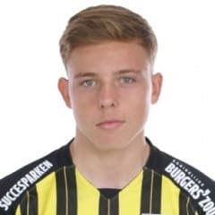Enzo Cornelisse avatar