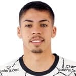 Gabriel Pereira dos Santos avatar