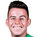 Henry Vaca Urquisa avatar
