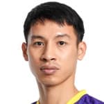 Đỗ Hùng Dũng avatar