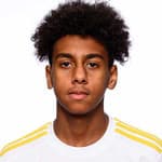 Isak Alexander Alemayehu Mulugeta avatar