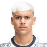 João Pedro de Sousa Rodrigues avatar