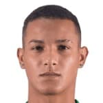 Luan Carlos de Frias da Silva avatar
