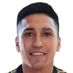 Mario Cristian Osmin Briceño Portilla avatar
