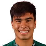 Martin Villaroel avatar