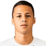 Matheus de Araujo Andrade avatar