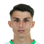 Mert-Yusuf Torlak avatar
