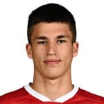 Milan Majstorovic avatar