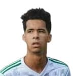 avatar player