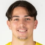 Nikola Jovićević avatar