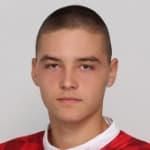 N. Đeković avatar