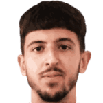 Nemanja Gavrić avatar