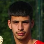 Nemanja Vidojević avatar