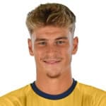 Nicholas Bonfanti avatar