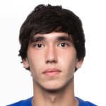 Nikita Ermakov avatar