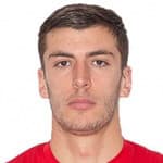Nikola Dišić avatar