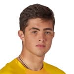 Oleksandr Domoleha avatar