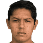 Oscar Antonio Castellanos Santos avatar