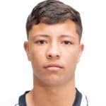 Pedro Henrique de Assis avatar