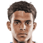 Raphael Borges Rodrigues avatar