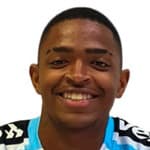 Ronald Barcellos Arantes avatar