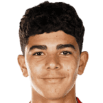 Salim El Jebari El Hannouni avatar