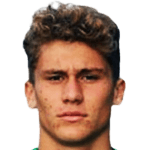 Stefano Piccinini avatar