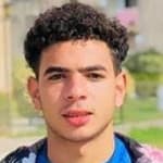 Tarek Alaa avatar