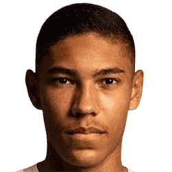 Vinicius Balieiro Lourenco De Carvalho avatar