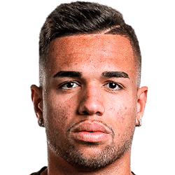 Vinicius Kaue Ribeiro Ferreira avatar