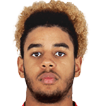 Willem Geubbels avatar