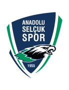Team Logo