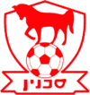Team Logo
