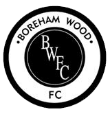 Team Logo