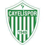 Team Logo