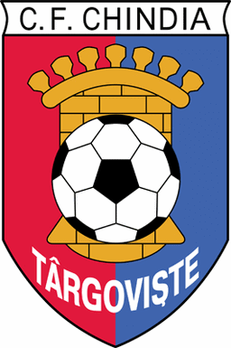 Team Logo