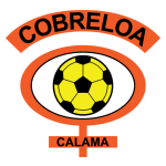 Team Logo