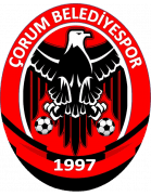 Team Logo
