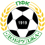 Team Logo