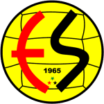 Team Logo
